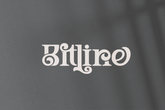 Bitline: A Bold, Vintage-Inspired Serif Font for Real Business Brands