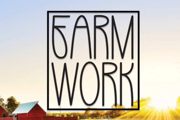 Farm Work: A Warm, Modern Sans Serif Font for Handmade Creators