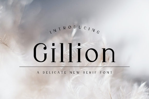 Gillion: A Serif Font for Thoughtful Design