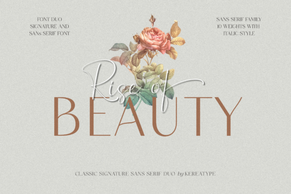 Rise of Beauty Duo: A Font Choice That Elevates Web Design